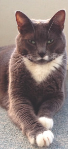 Linda's Mr. Bubba