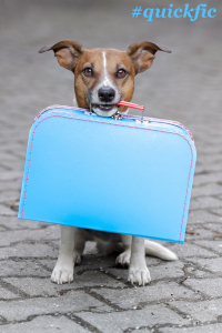 #quickfic Dog going on Holiday