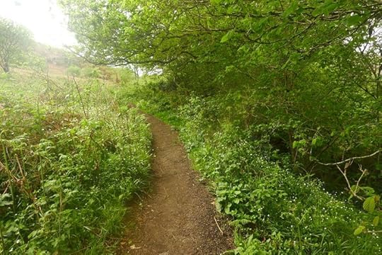 Pathway 3
