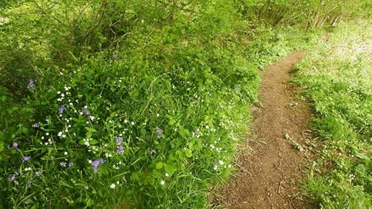 Pathway 4