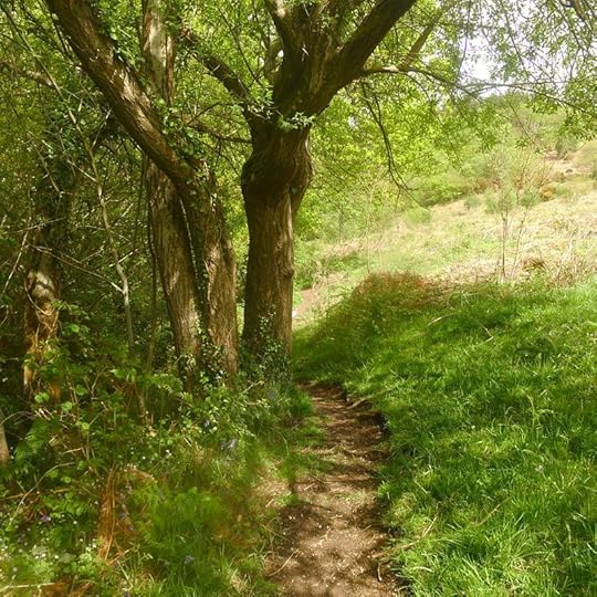 Pathway 7