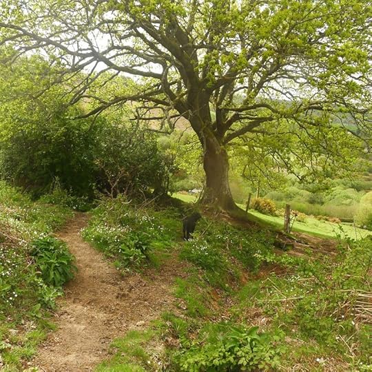 Pathway 8