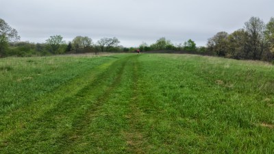 Grassy meadows, rather unpleasant when it's sunny.