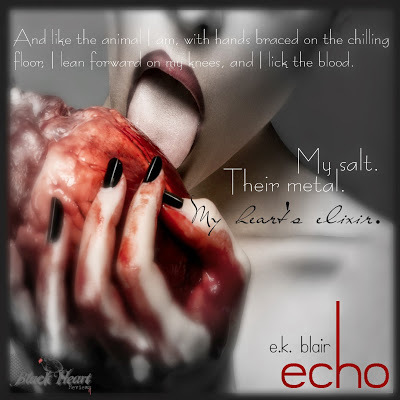 Echo by e.k. blair teaser