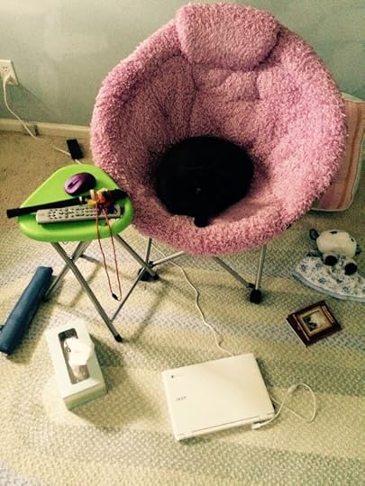 He Was Seriously Watching TV