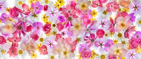 Bright As a Summer's Day © Harold Davis