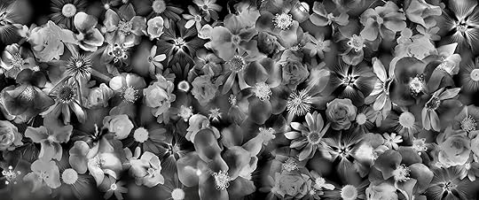 Shadow of the Solarized Moon © Harold Davis