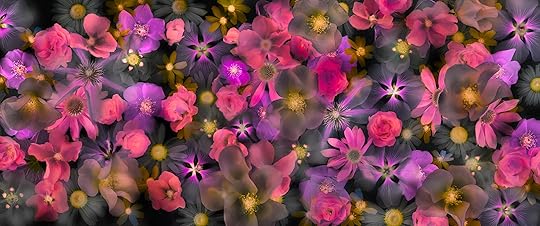 Flowers Will Reach the Black Empire © Harold Davis