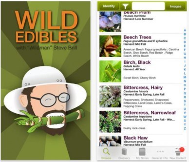 wild-edibles-e1403099406212