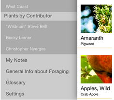 11173372_10152794128987197_6161573364340097183_n