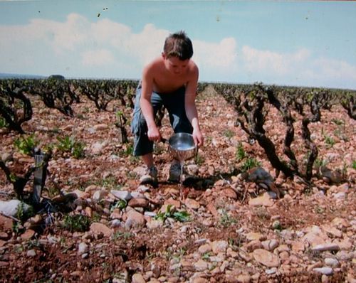 Max-watering-vines