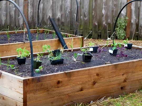 plant-placing