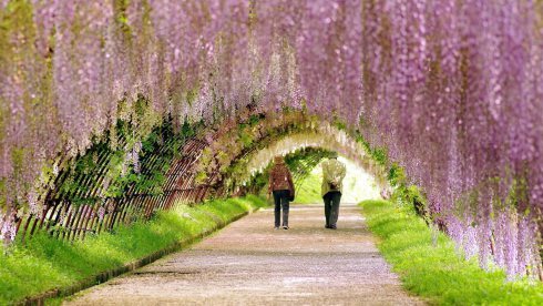 spring