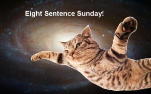 Space cat-8 sentence