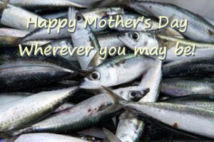 mothers day