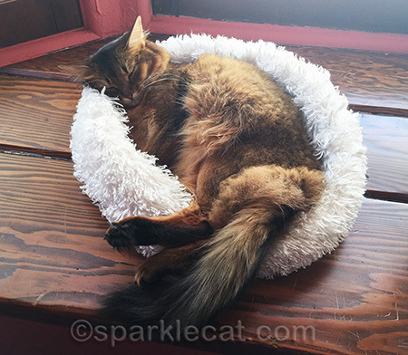 Dreaming of a chicken Supreme cake