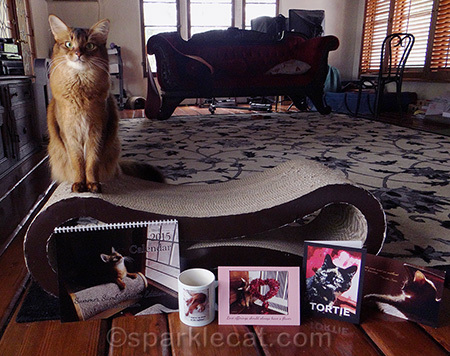 My human needs more products with ME on them!