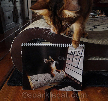 I'm all grown up now, so I need a new calendar soon!
