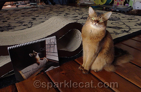 Just wait til you see my 2016 calendar!