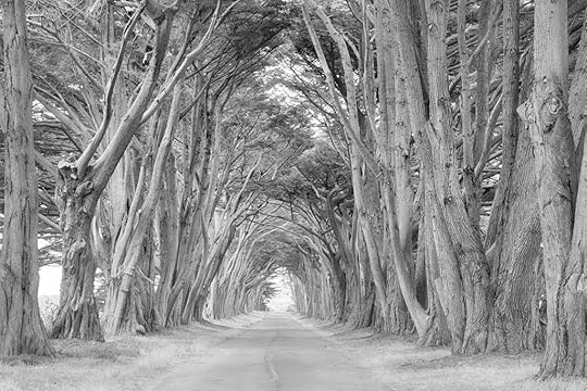 Memory Lane © Harold Davis