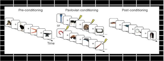pavlok_image_1