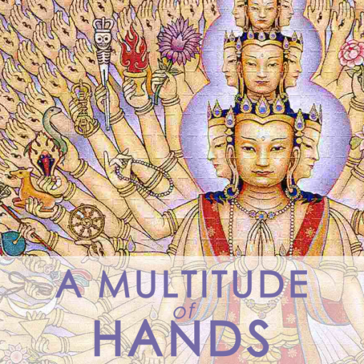 MULTITUDE OF HANDS