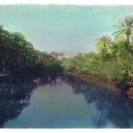 'Irak, daktyle, 1942r' - Iraq, dates, 1942