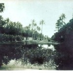 'Irak w listopad 1942r’ – Iraq in November 1942