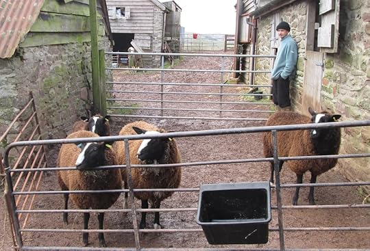 At Upper Redgate farm