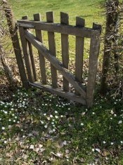 Boundaries are Gates