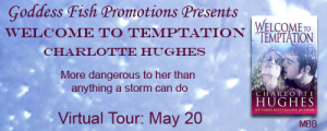 MBB_TourBanner_WelcomeToTemptation copy
