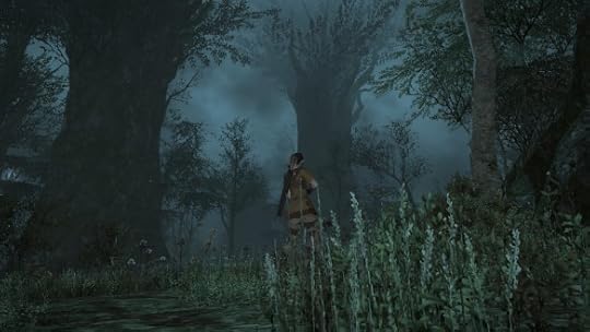 A foggy forest night in Final Fantasy XIV: A Realm Reborn