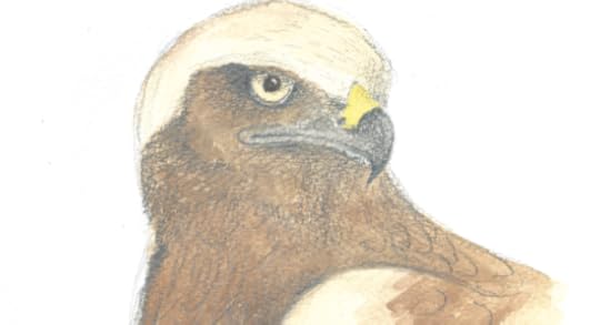 Screen-Shot-2015-04-21-at-4.22.55-PM-607x330-1