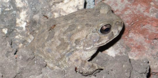 Screen Shot 2015-05-20 at 5.42.34 PM