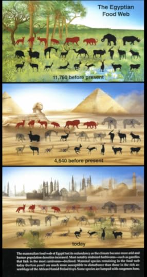 Screen Shot 2015-05-06 at 10.53.44 AM