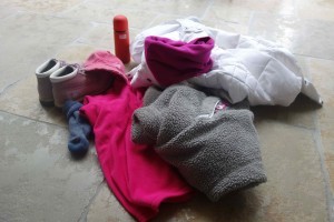 Cricket watching kit