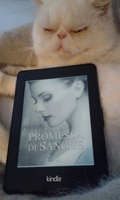 foto di Gabriella Grieco - I colori del giallo.