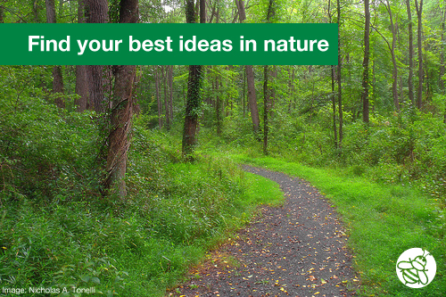 SBQ-Find-Ideas-in-Nature