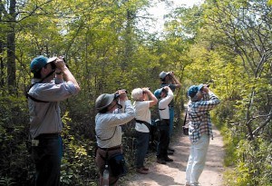 Birding1