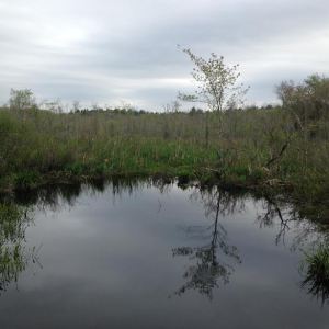 crane neck rd