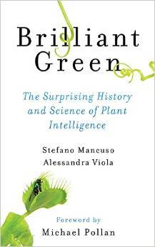 brlliant green