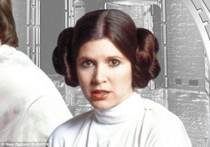 Princess Leia Bun