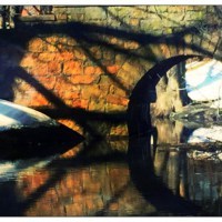Riverway Bridge with Duck