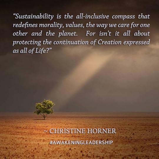 Awakening Leadership by Christine Horner