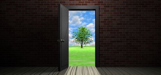 575x270-panoramic_optimism_future_16181