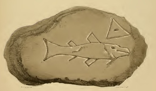 Pictish symbol stone Dunnicaer