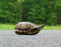 Stuckness to Success John Townsend