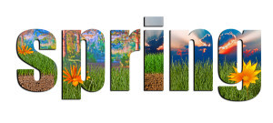 Colorful Spring Images Inside Spring Text On A White Background