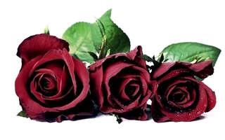  photo a06941d2-52f6-4064-b9cd-41618ff58bea_zpsozrcdju8.jpg