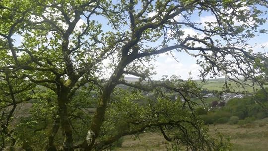 Hillside 6